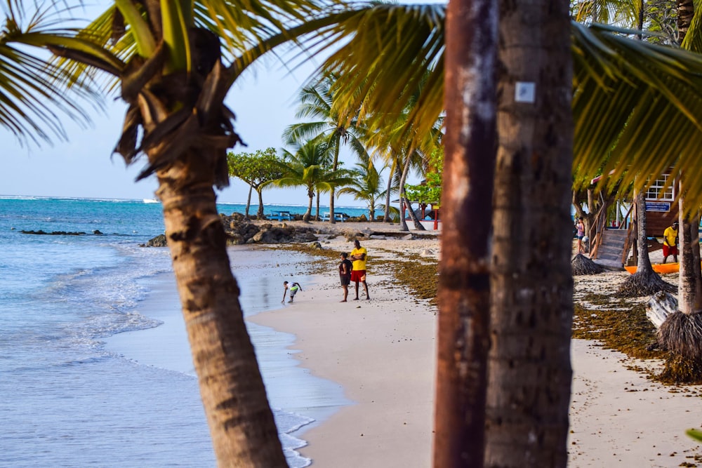 a couple of people riding horses on top of a beach