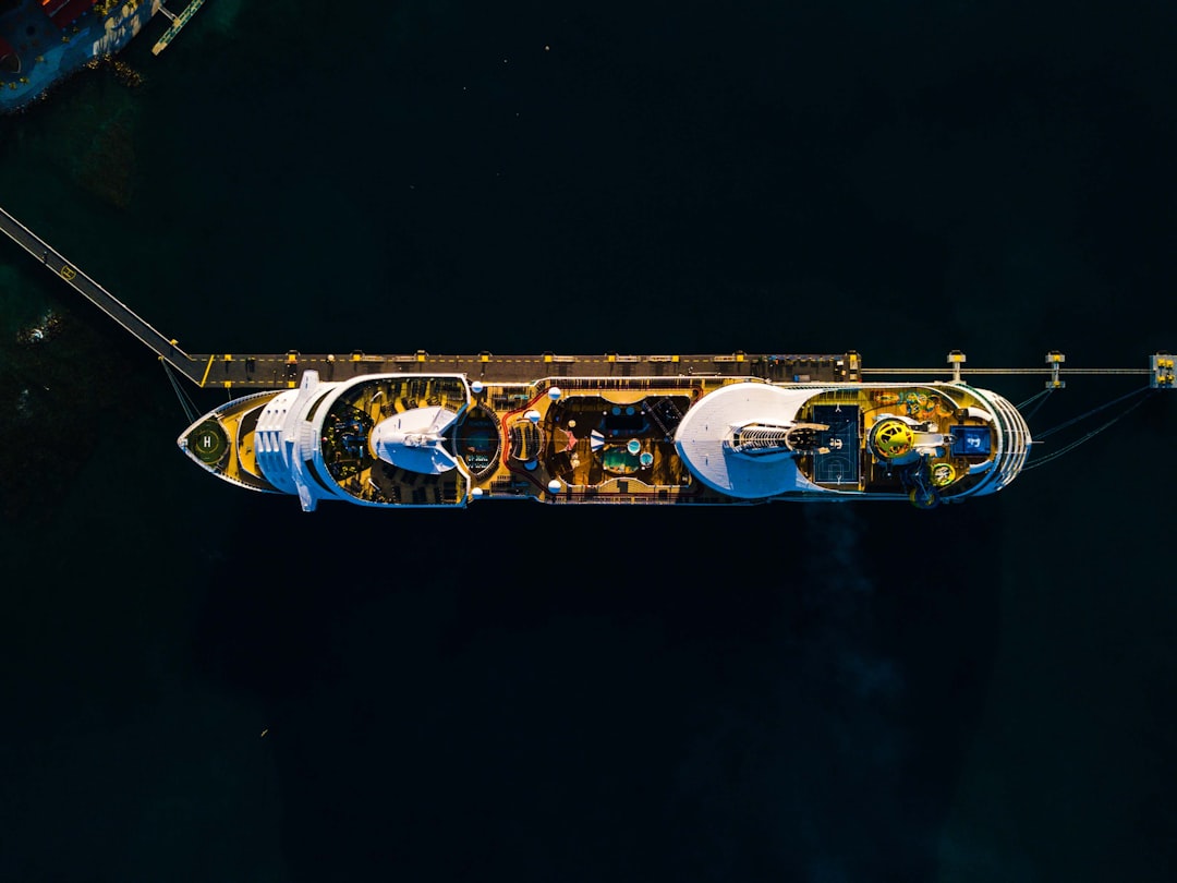 an aerial view of a cruise ship in the water, Top Down view of a royal Caribbean cruise ship at port in Labadee Haiti
