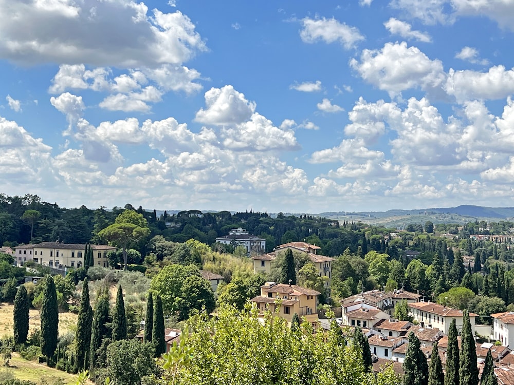 a scenic view of a town surrounded by trees