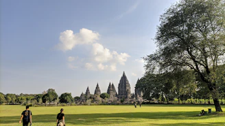 a couple of people that are standing in the grass