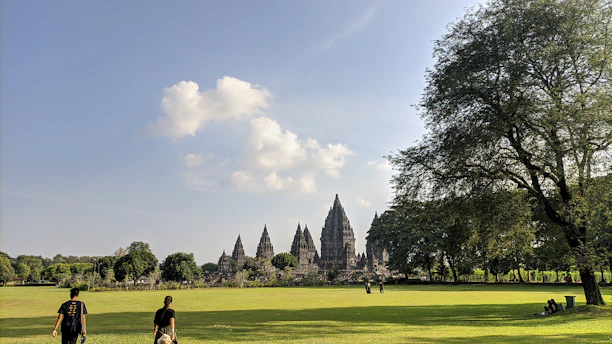 a couple of people that are standing in the grass