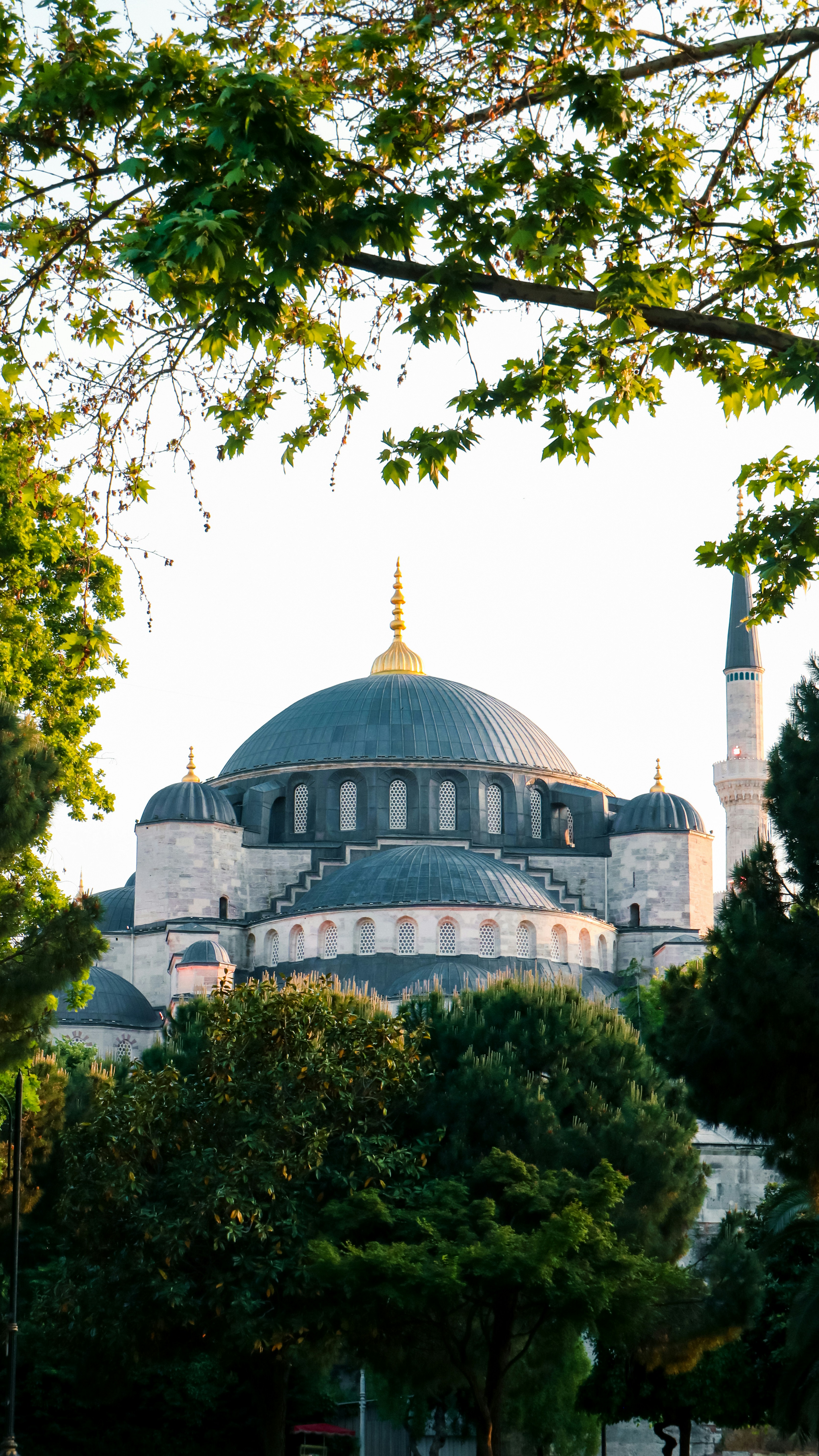 Photo by salahdarwish