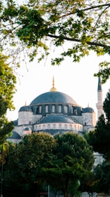 a large white and black building surrounded by trees