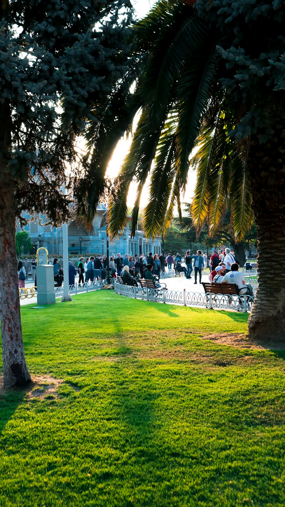 a group of people sitting on top of a lush green park