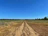 a dirt road in the middle of a field