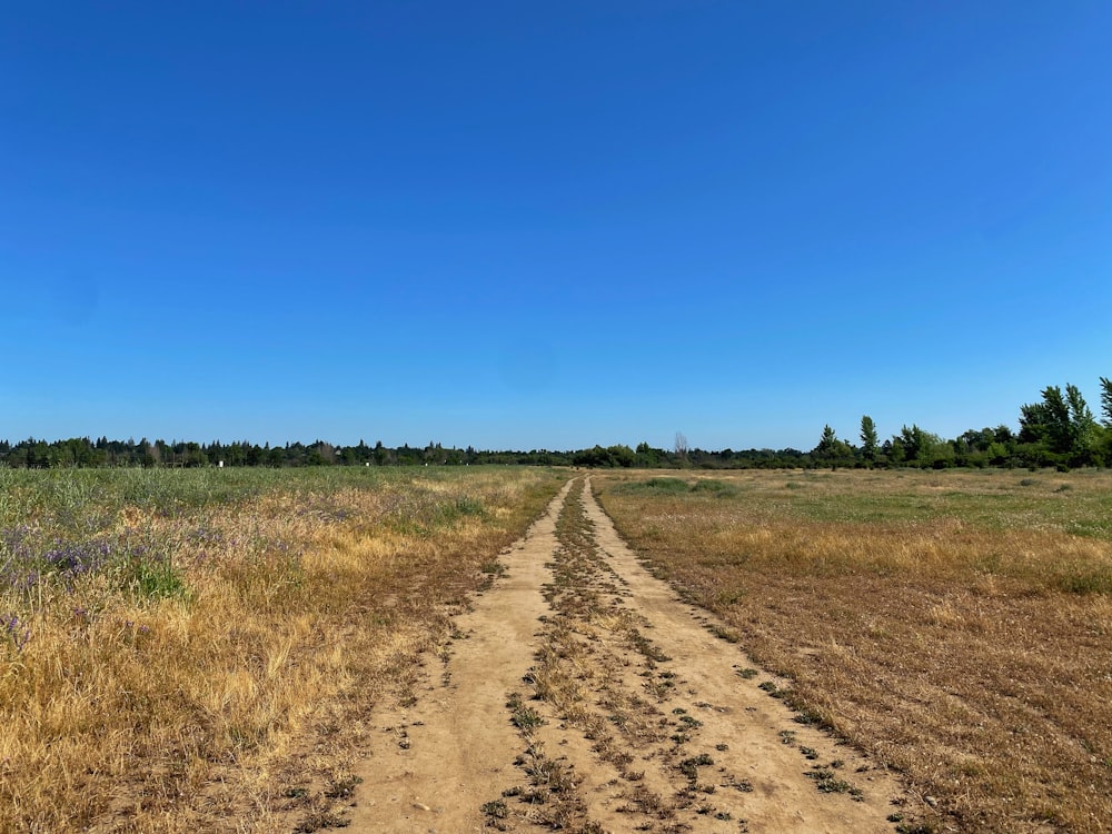 a dirt road in the middle of a field