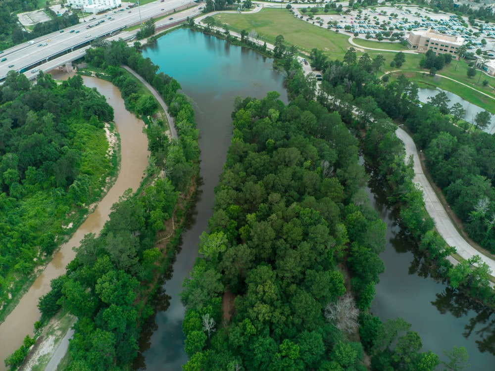 a river running through a lush green forest