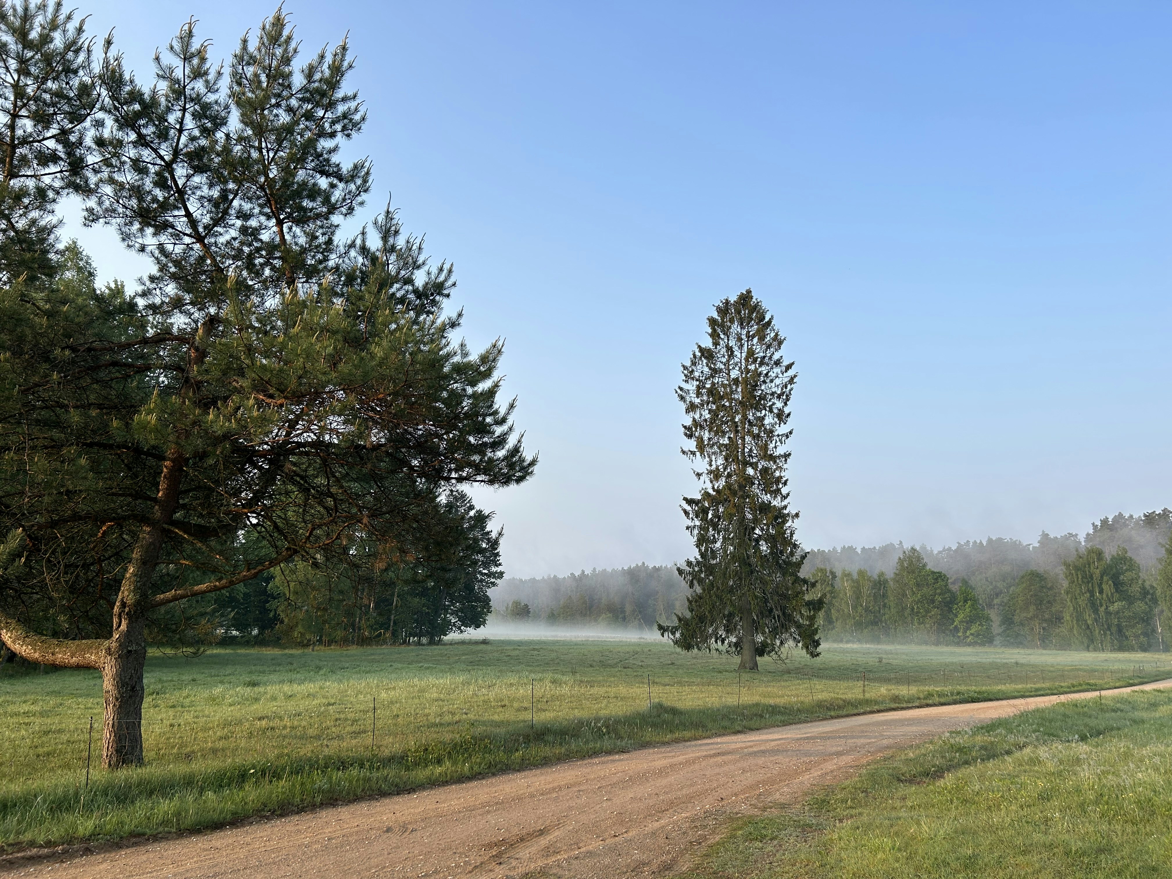 Anyksciai travel photo