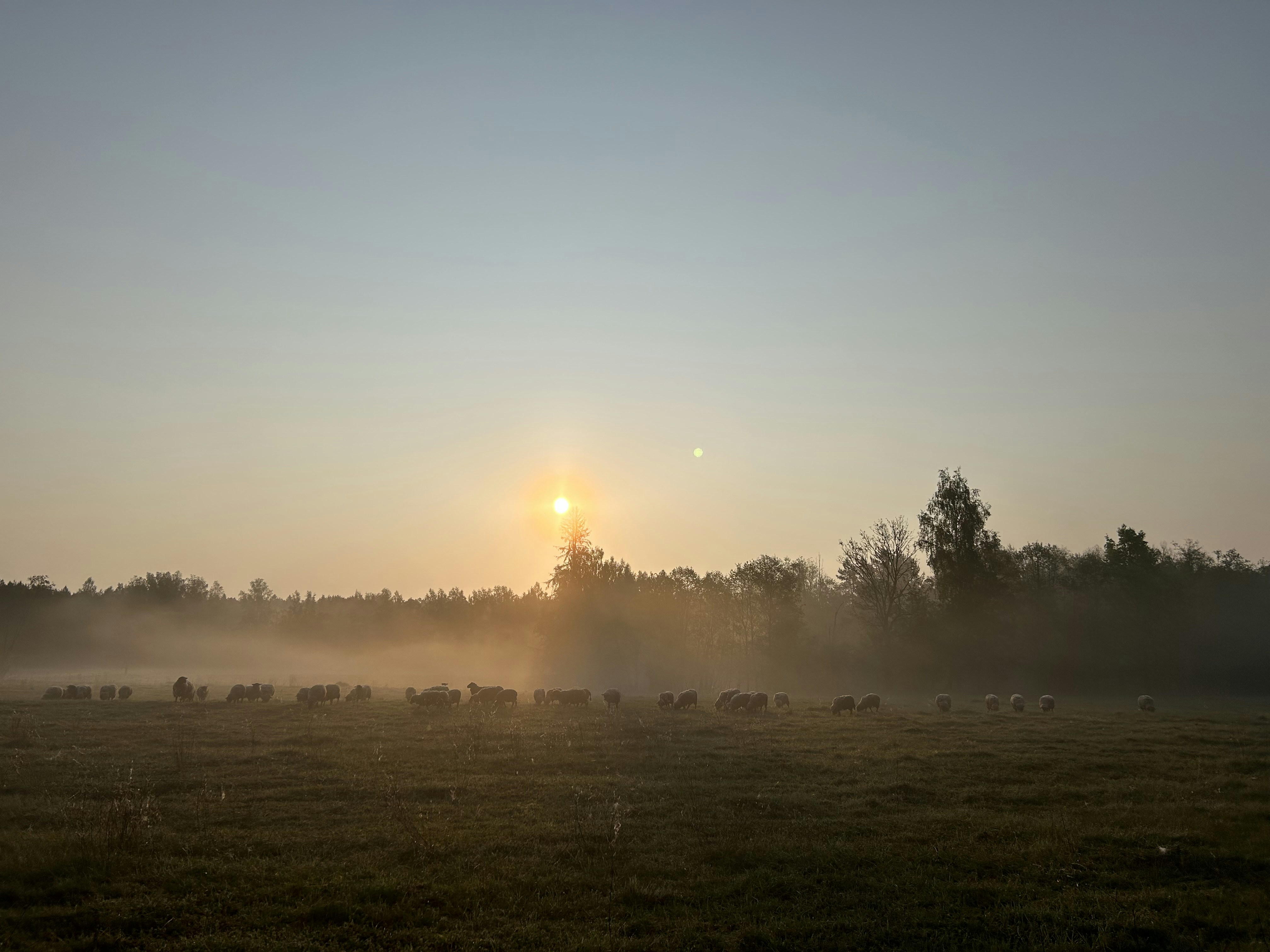 Anyksciai travel photo