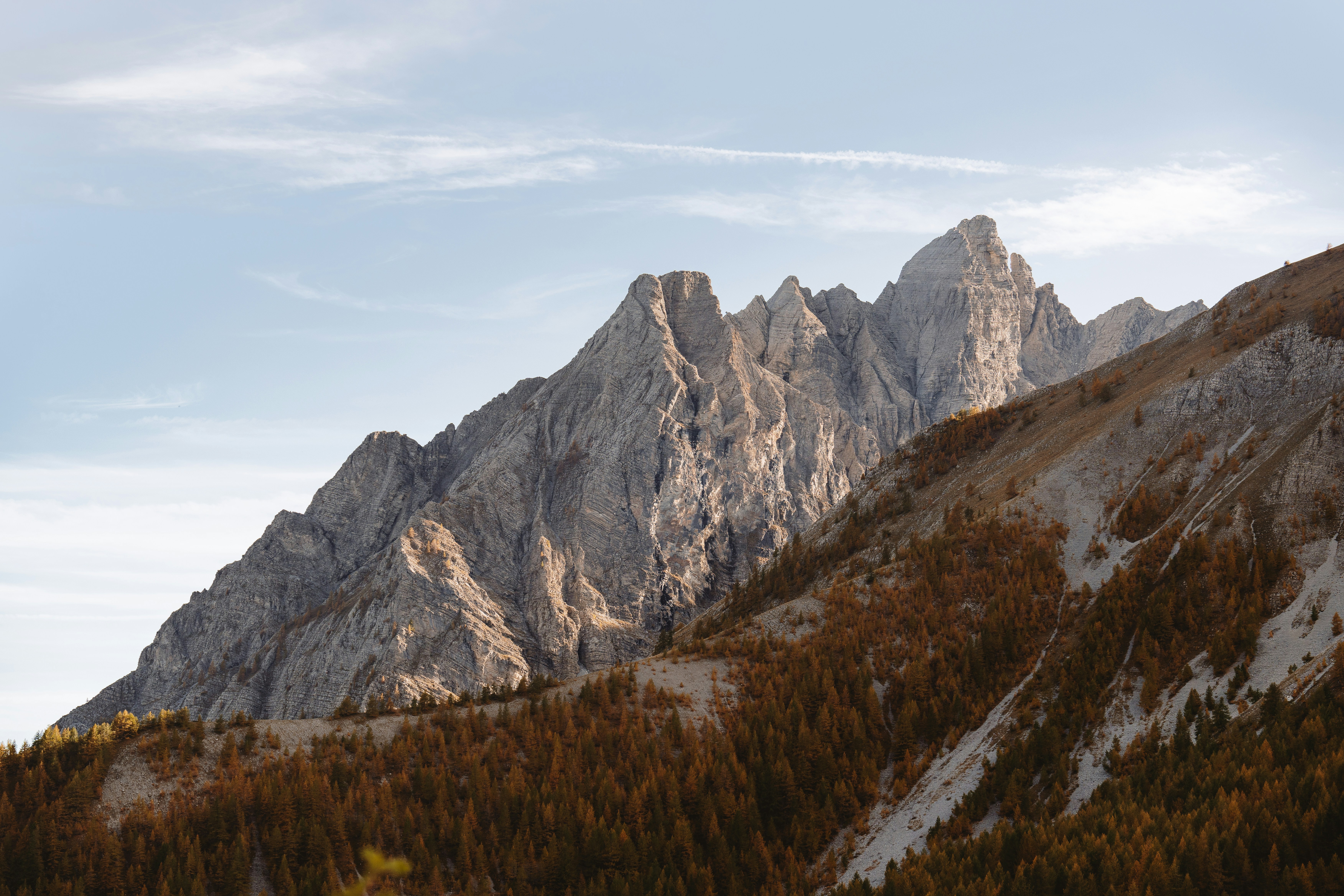 Photo by studiocoton