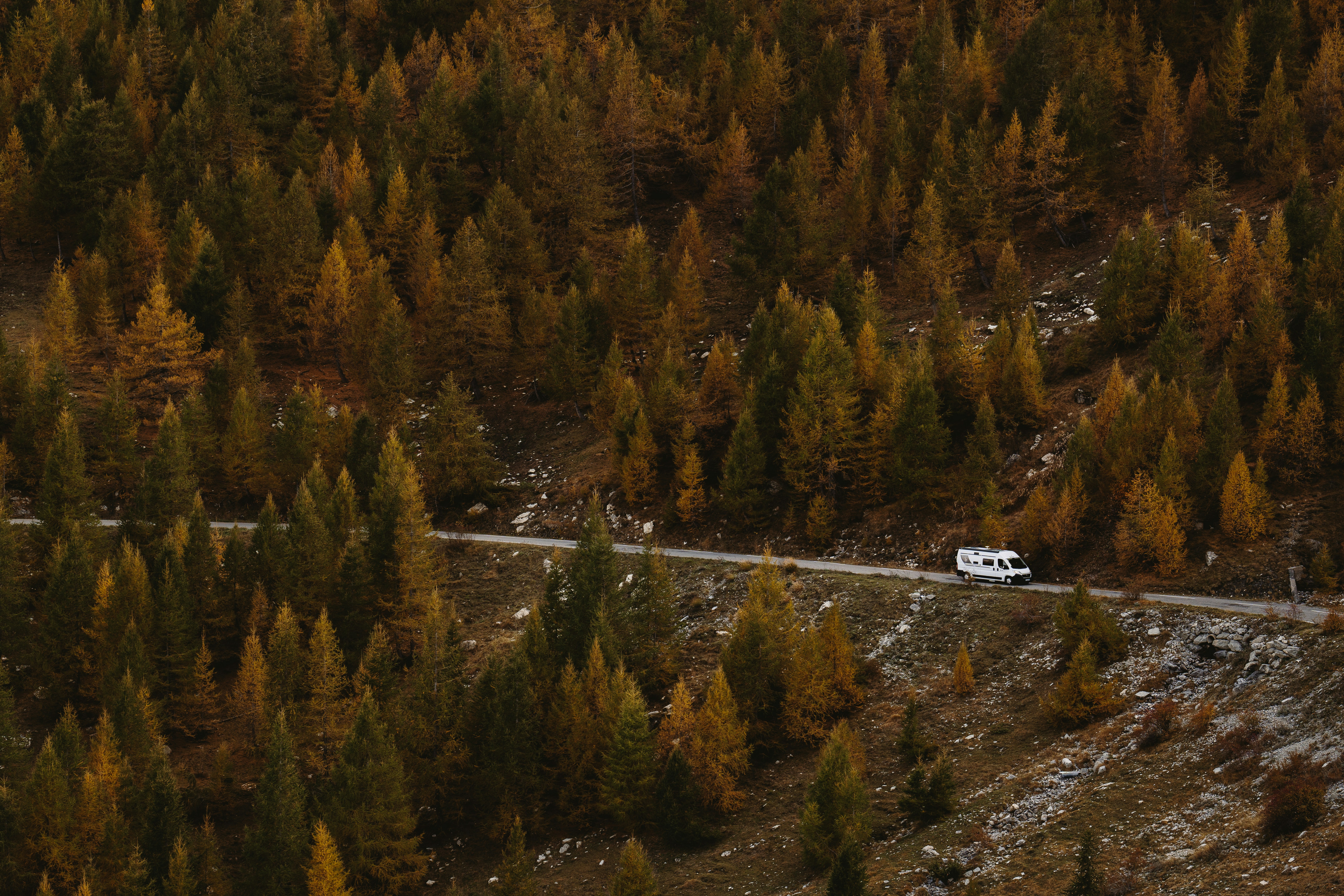 Photo by studiocoton