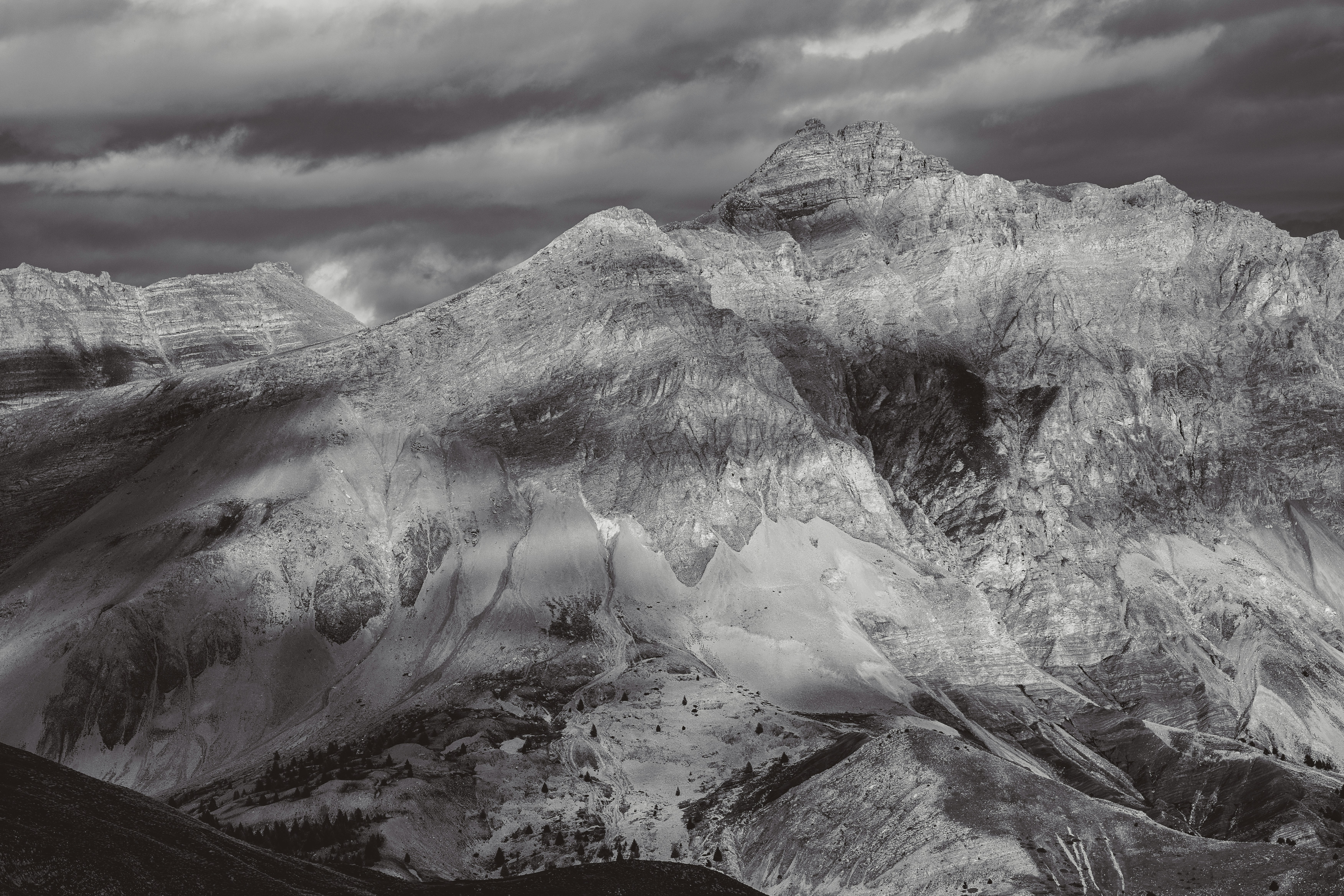 Photo by studiocoton