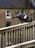 A happy customer showcasing the effectiveness of the pigeon nets.