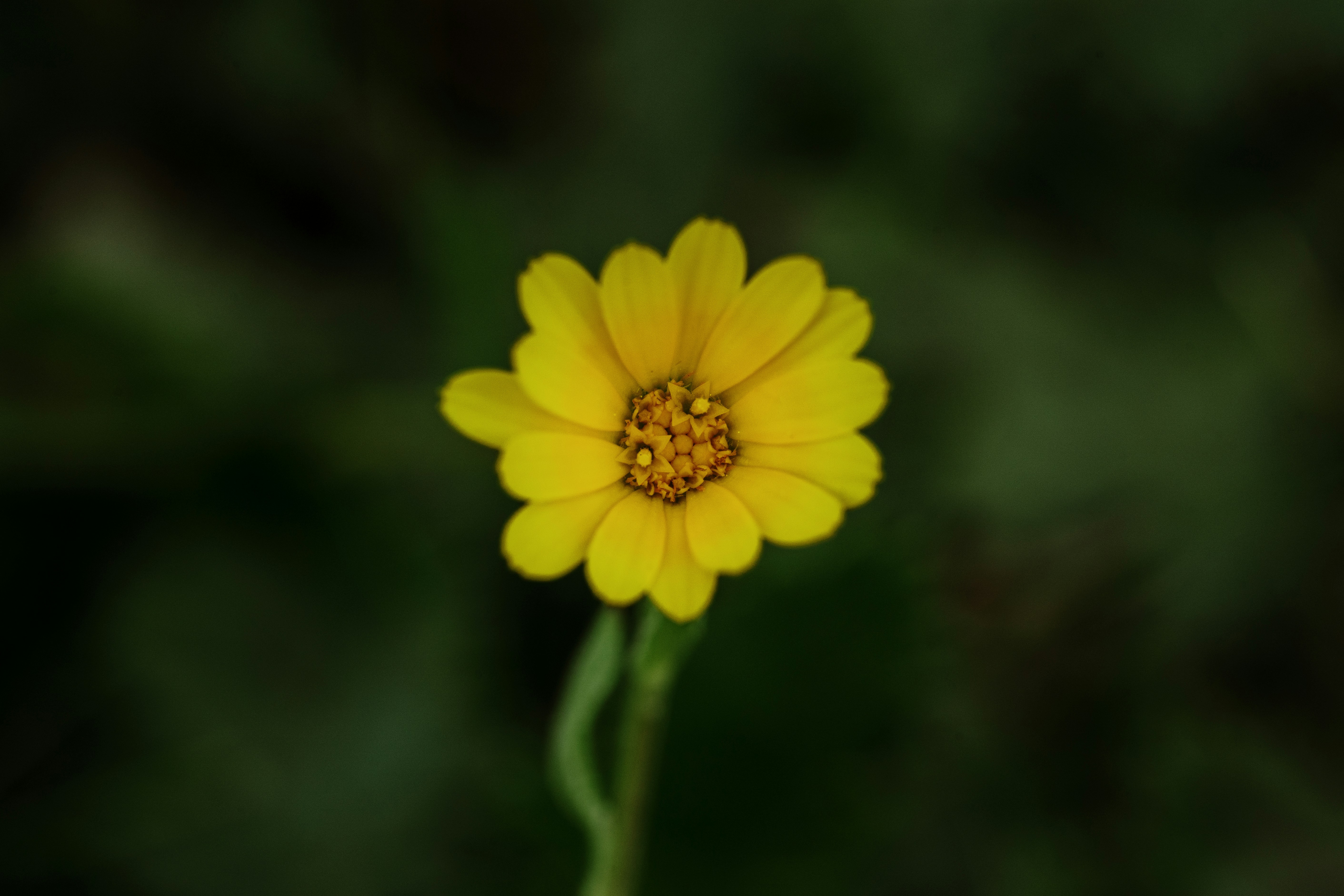 Photo by studiocoton