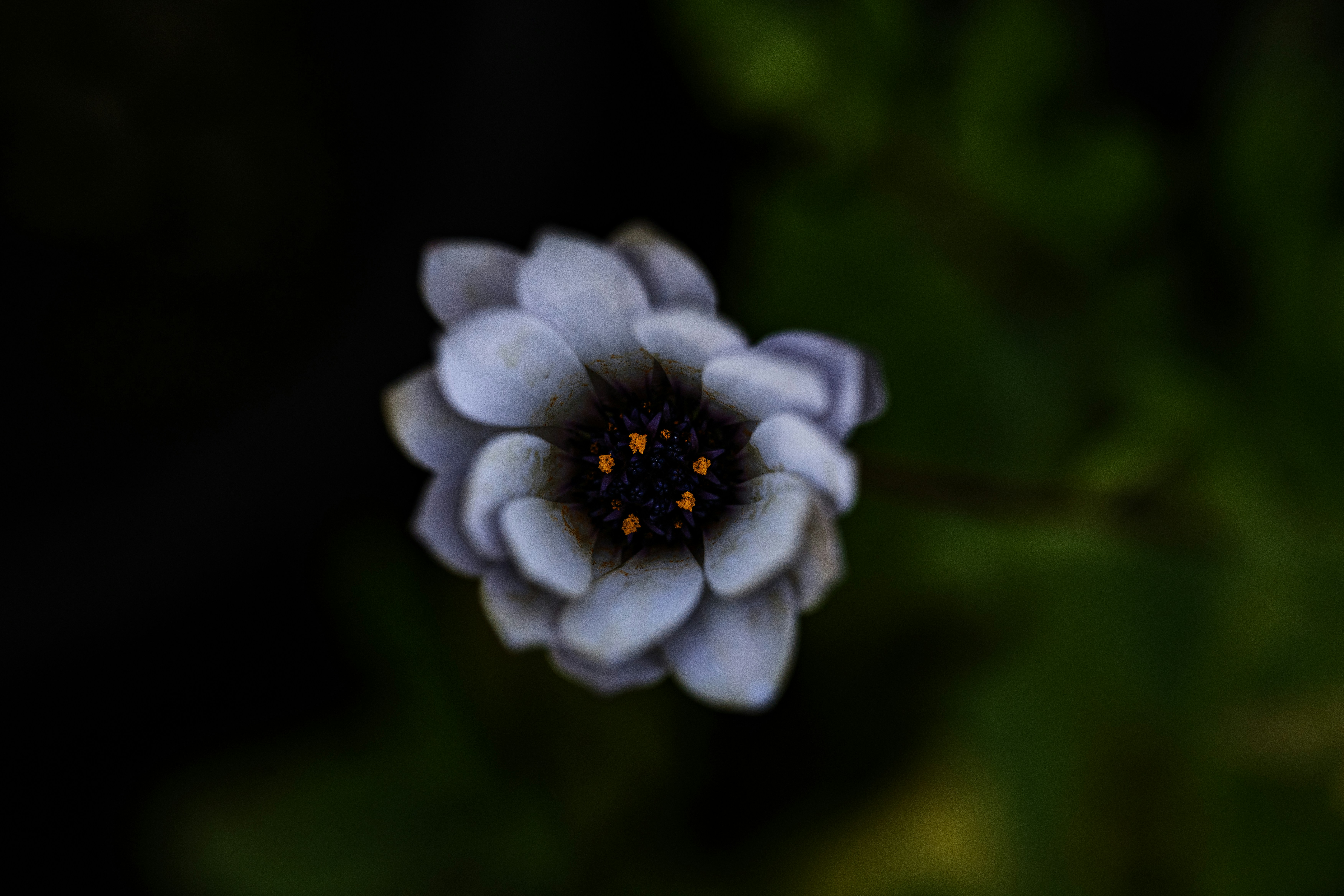 Photo by studiocoton