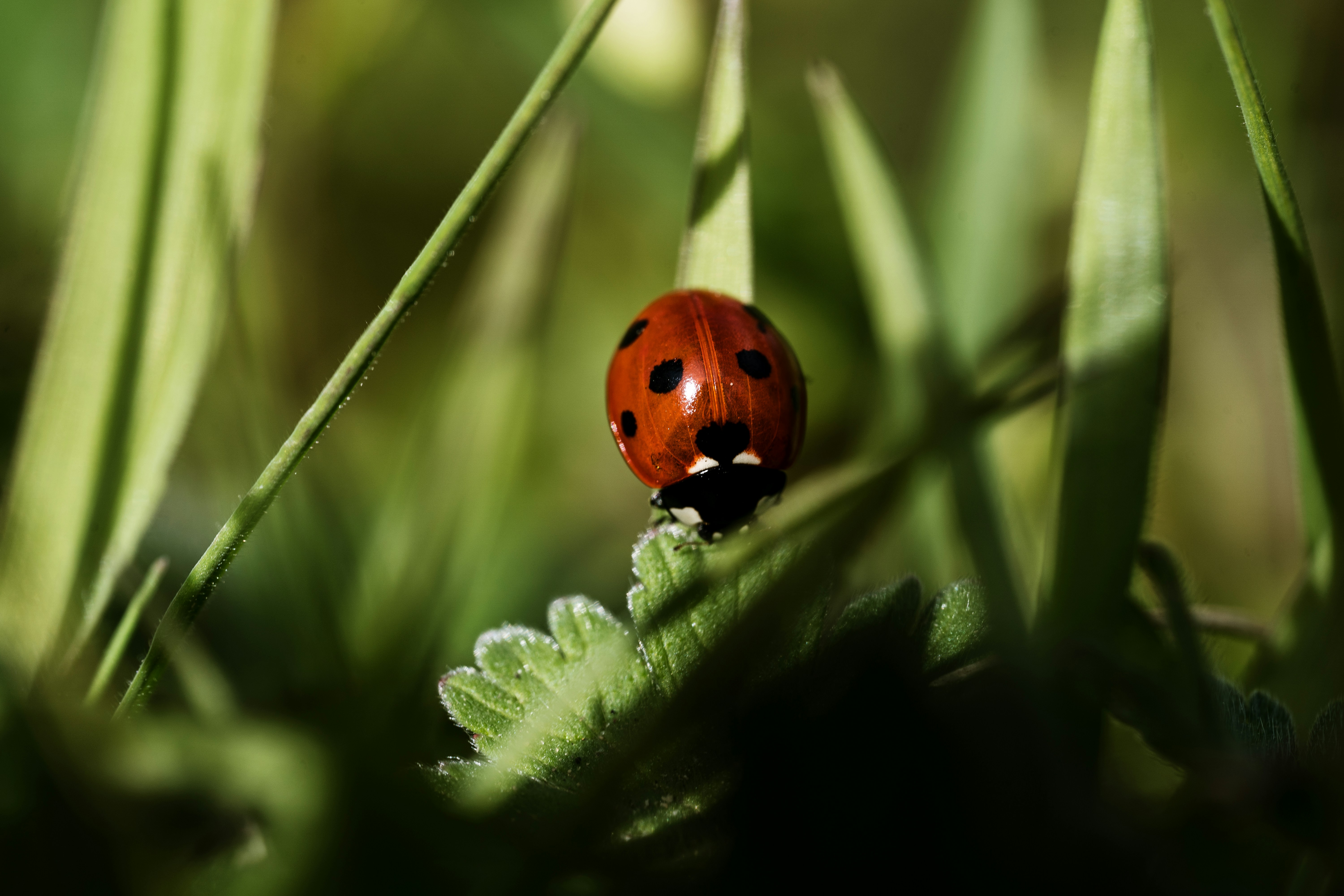 Photo by studiocoton