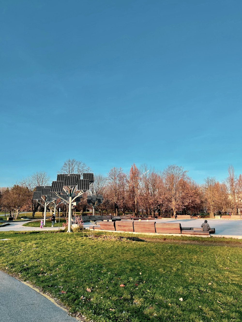 a park with a bench and a tree