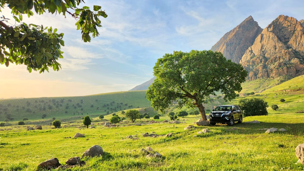 a jeep parked in a field with a mountain in the background