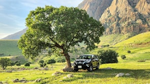 Spacious Perodua Aruz MPV ready for a family tour with lush greenery in the background.