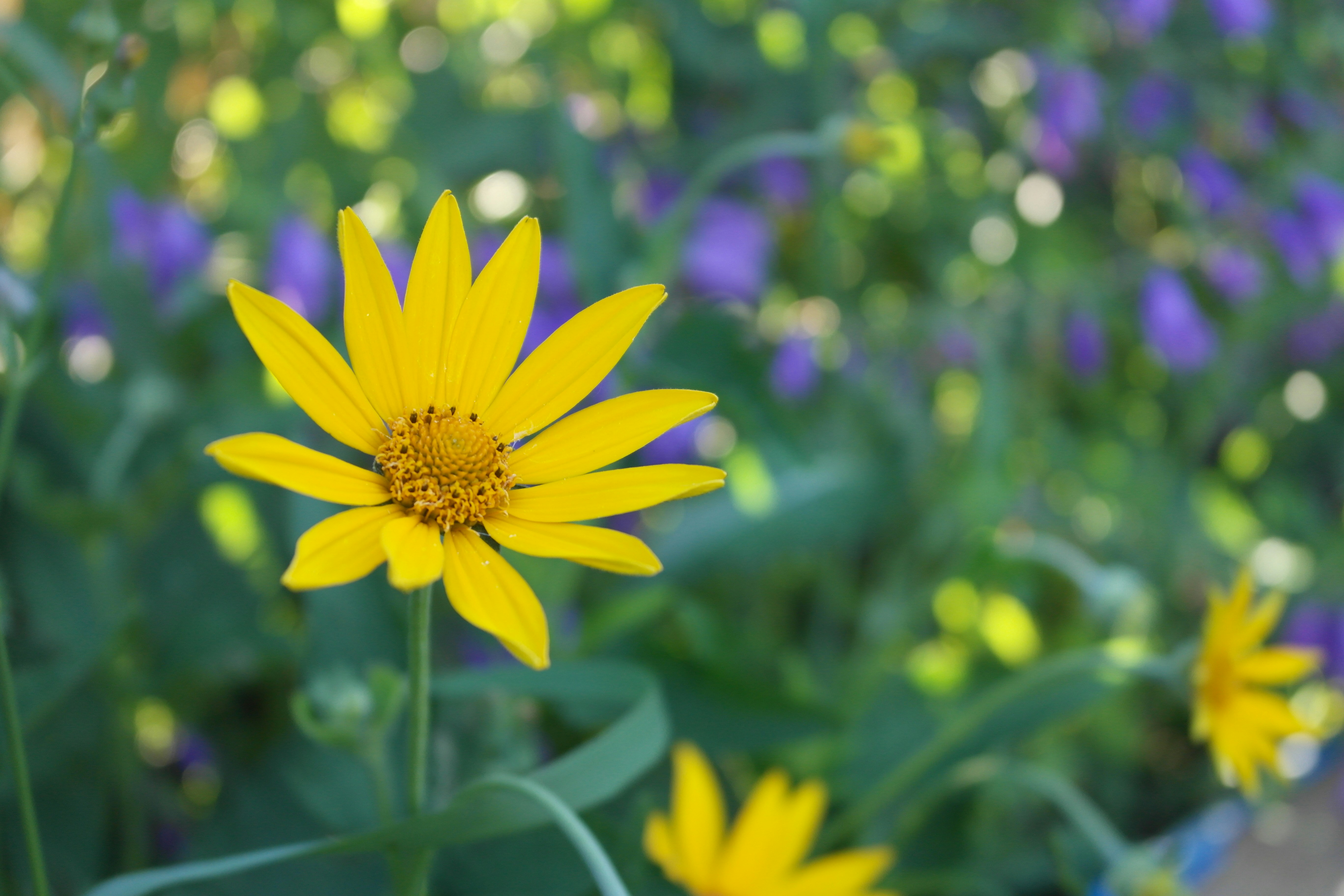 Photo by petemcbride