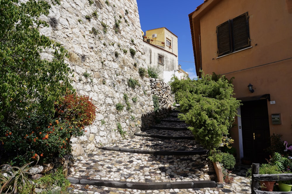 a set of stone steps leading up to a building