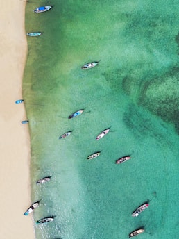 a group of boats floating on top of a body of water