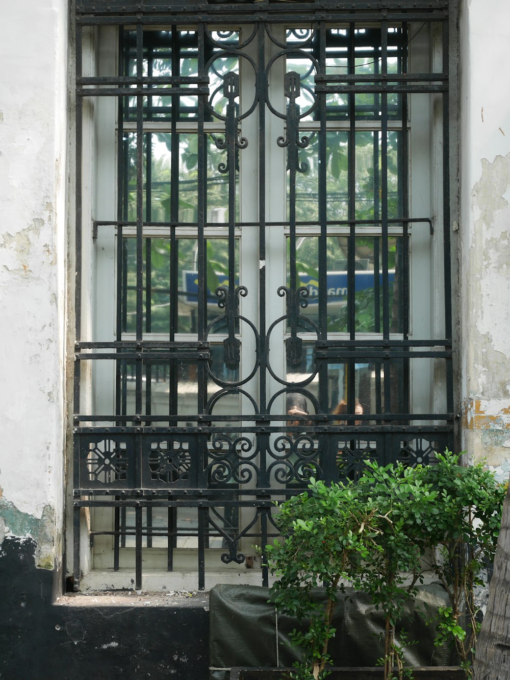 a gated entrance to a building with a potted plant in front of it