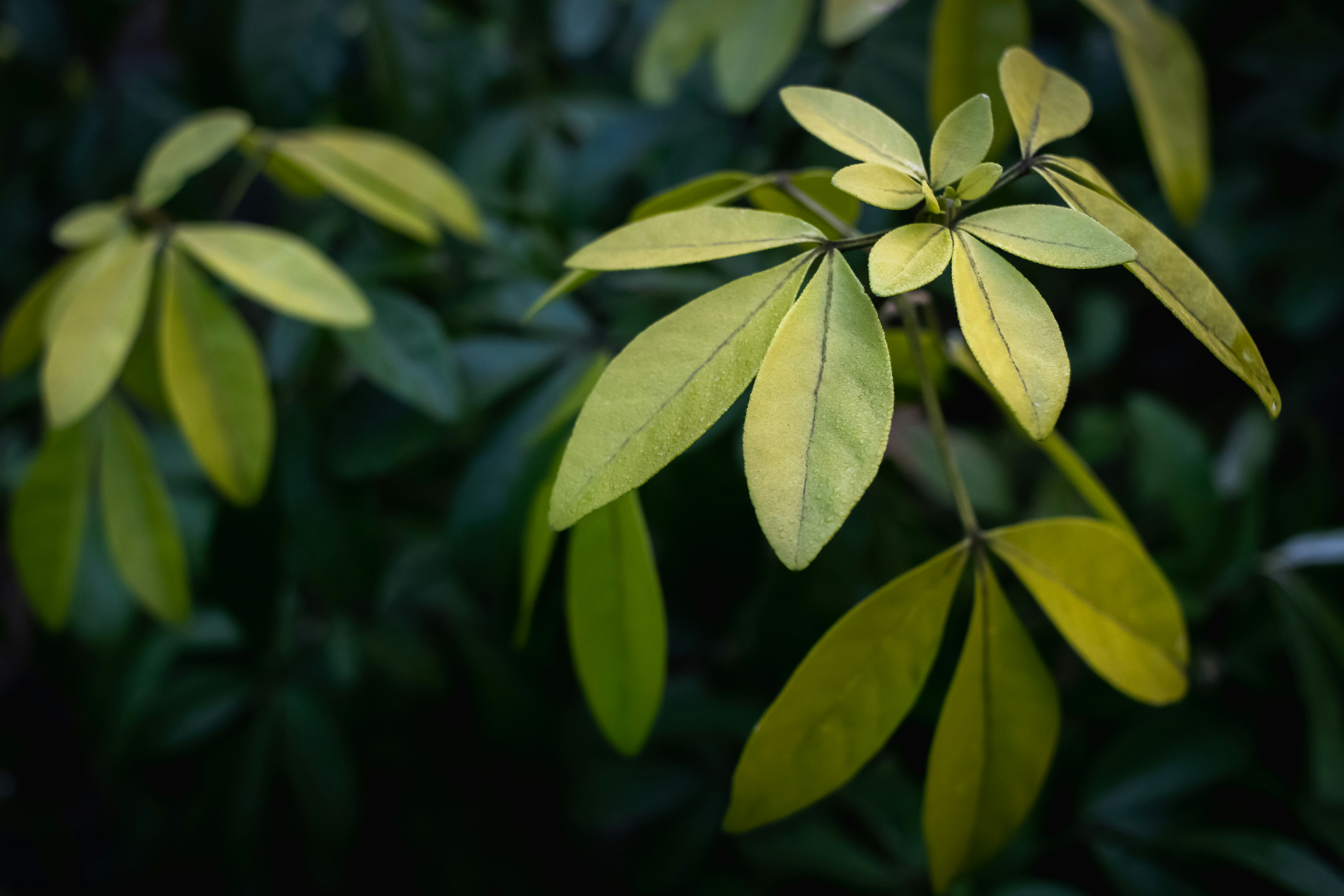 Photo by greg_rosenke