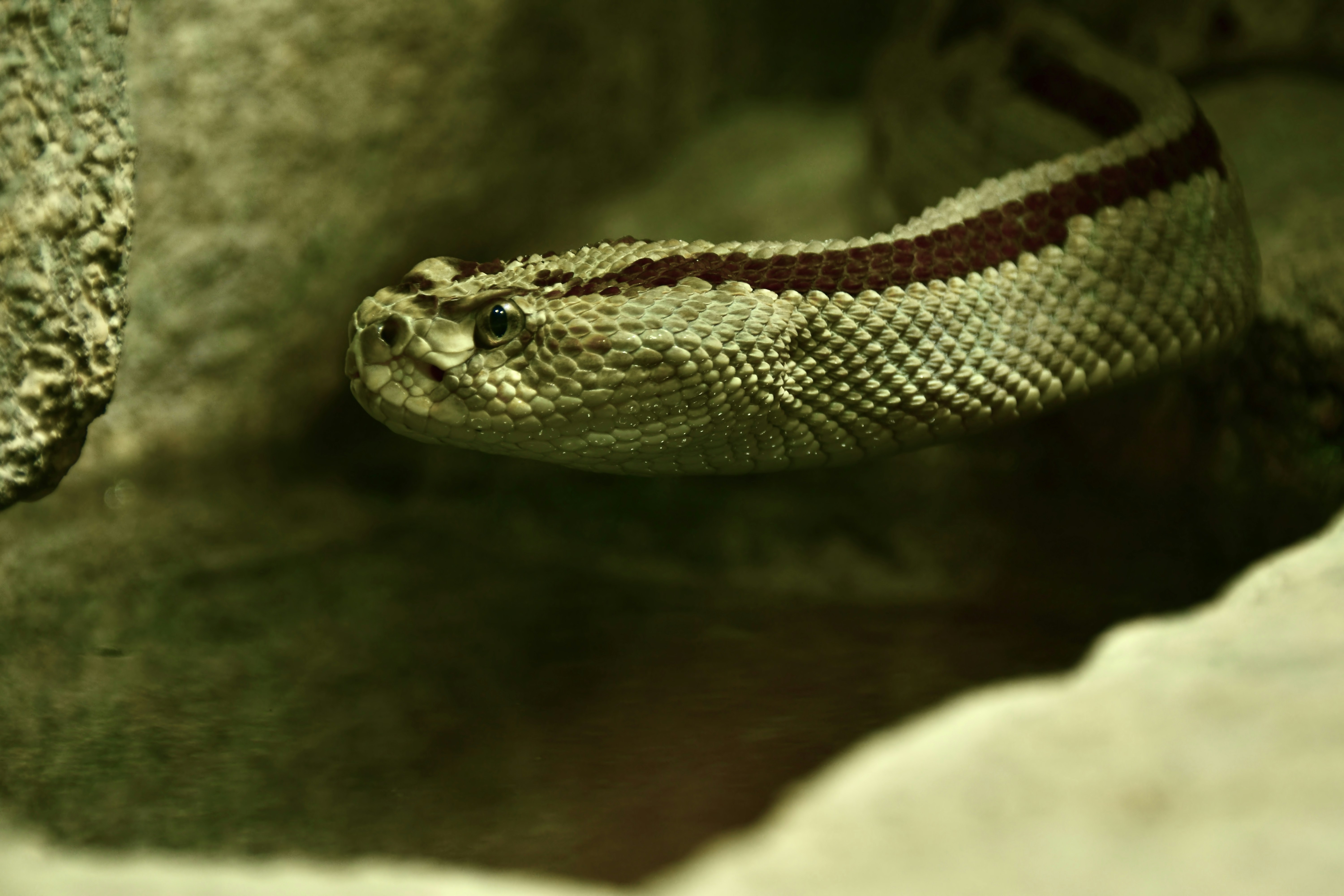 Photo by mariobeducci