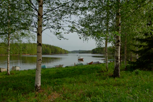 a group of boats floating on top of a lake next to a forest
