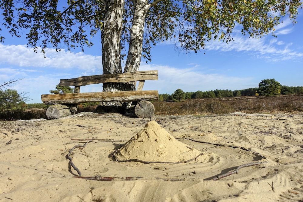 un banco de madera sentado en la parte superior de una playa de arena