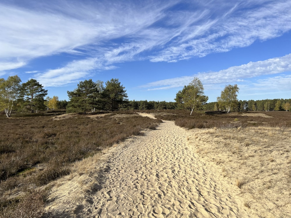 a dirt path in a field with trees in the background