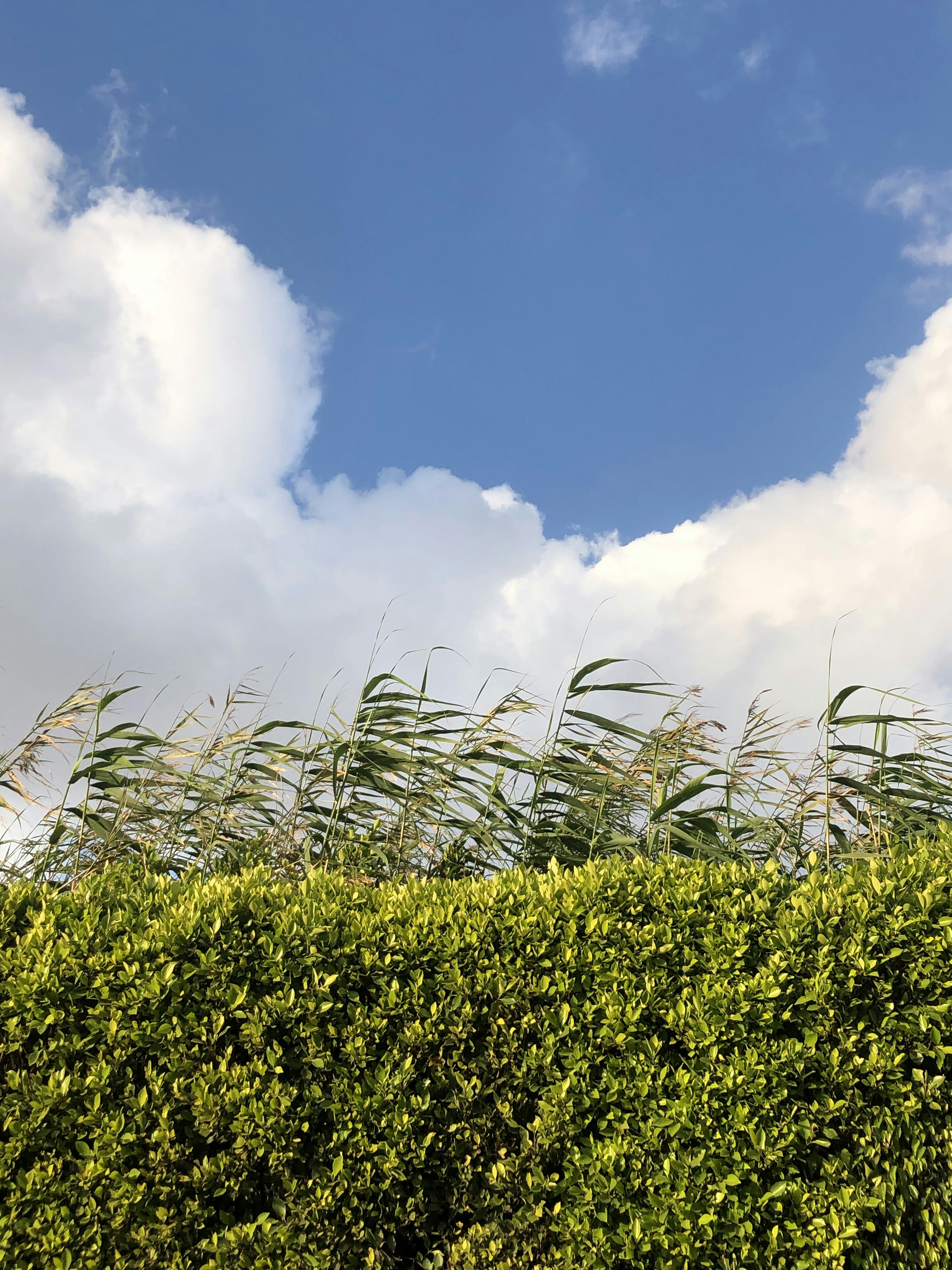 Photo by sohailai_darwesh