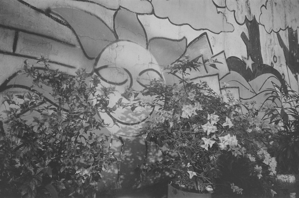 a black and white photo of graffiti on a wall