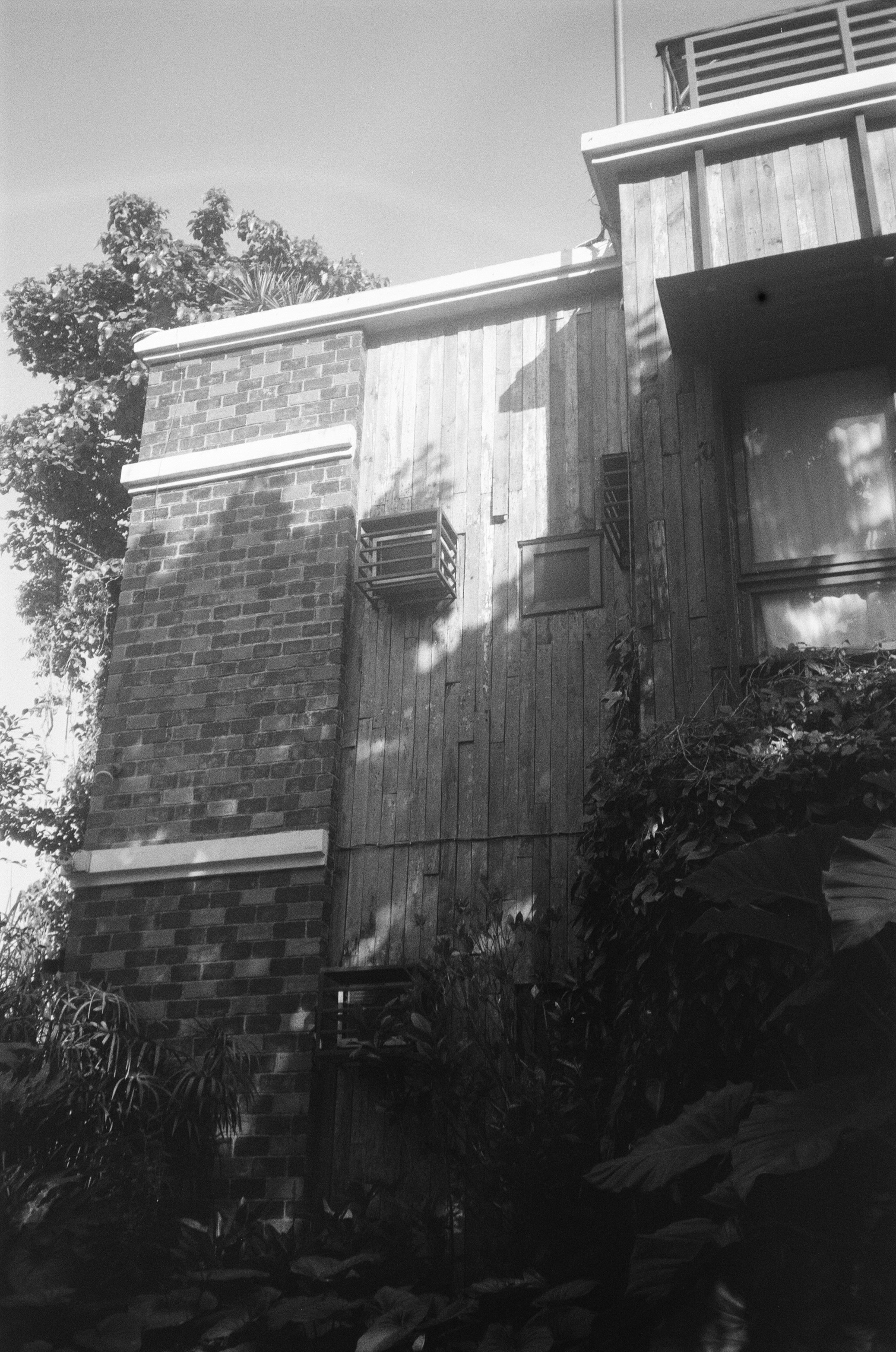 Photo by myboholifeph