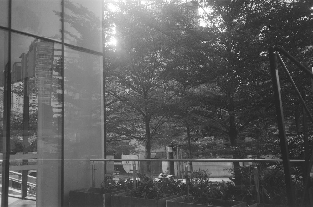 a black and white photo of a building and trees