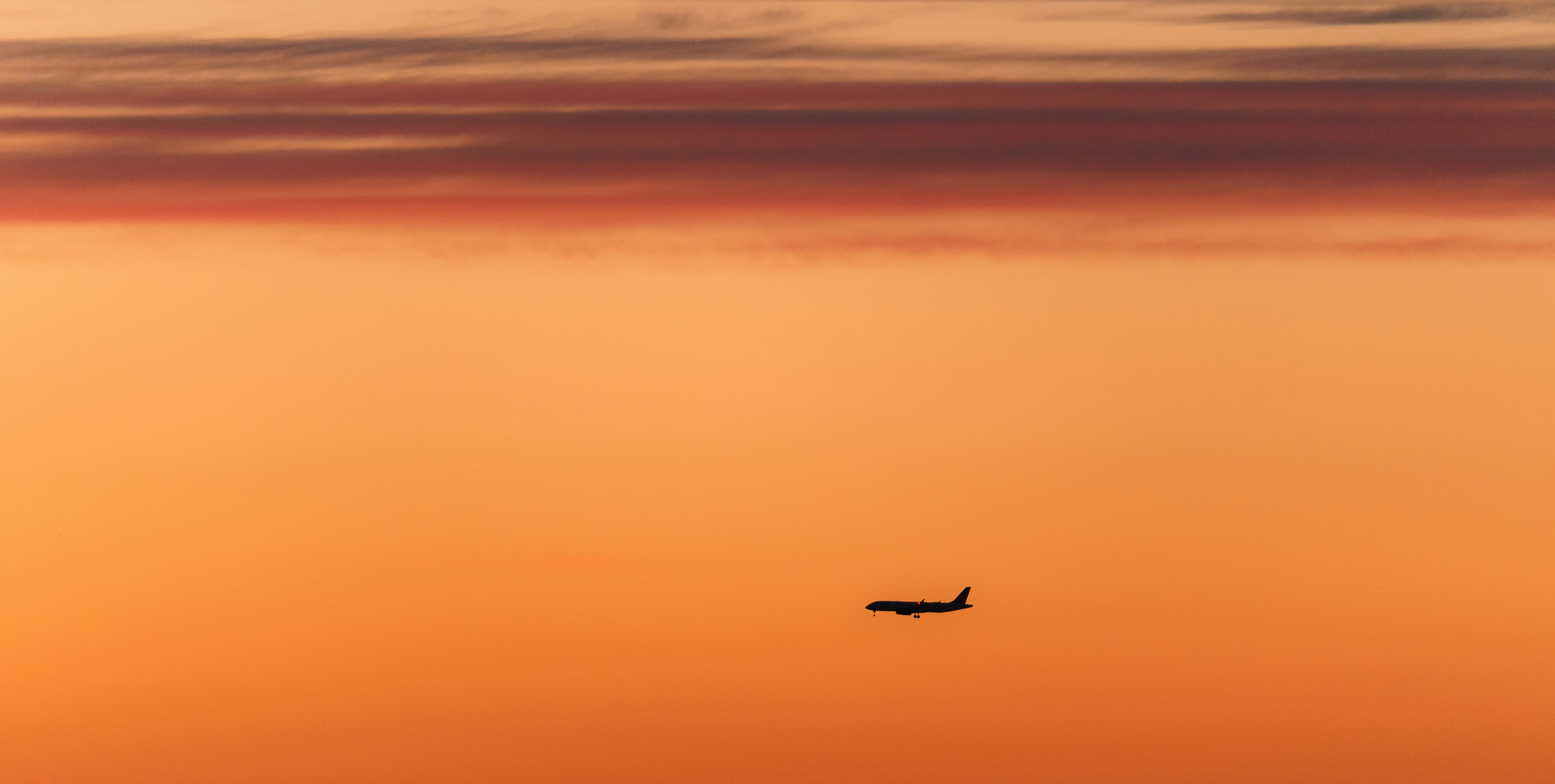 Photo by francis_nie