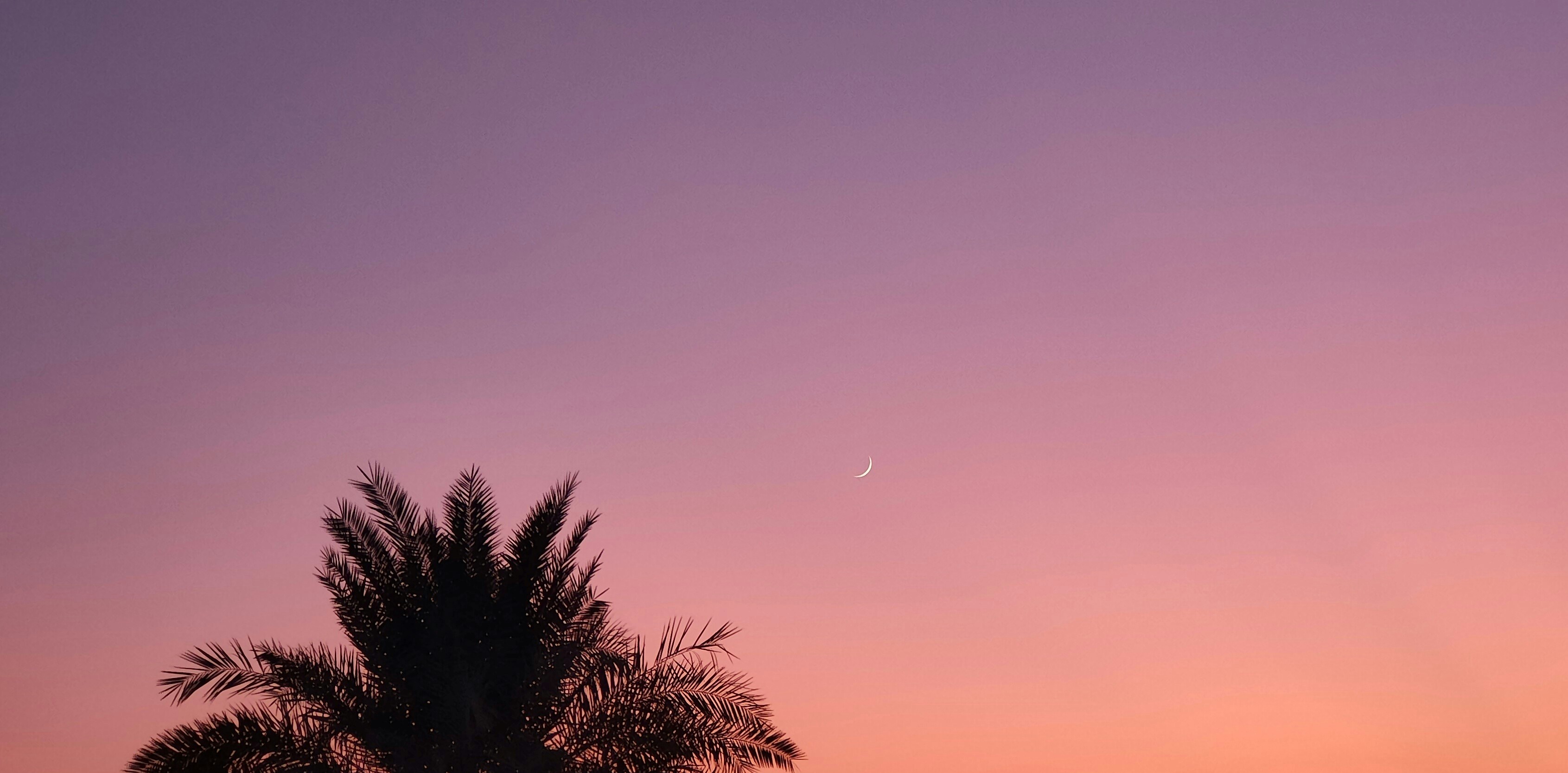 Photo by nsaerkazi4565