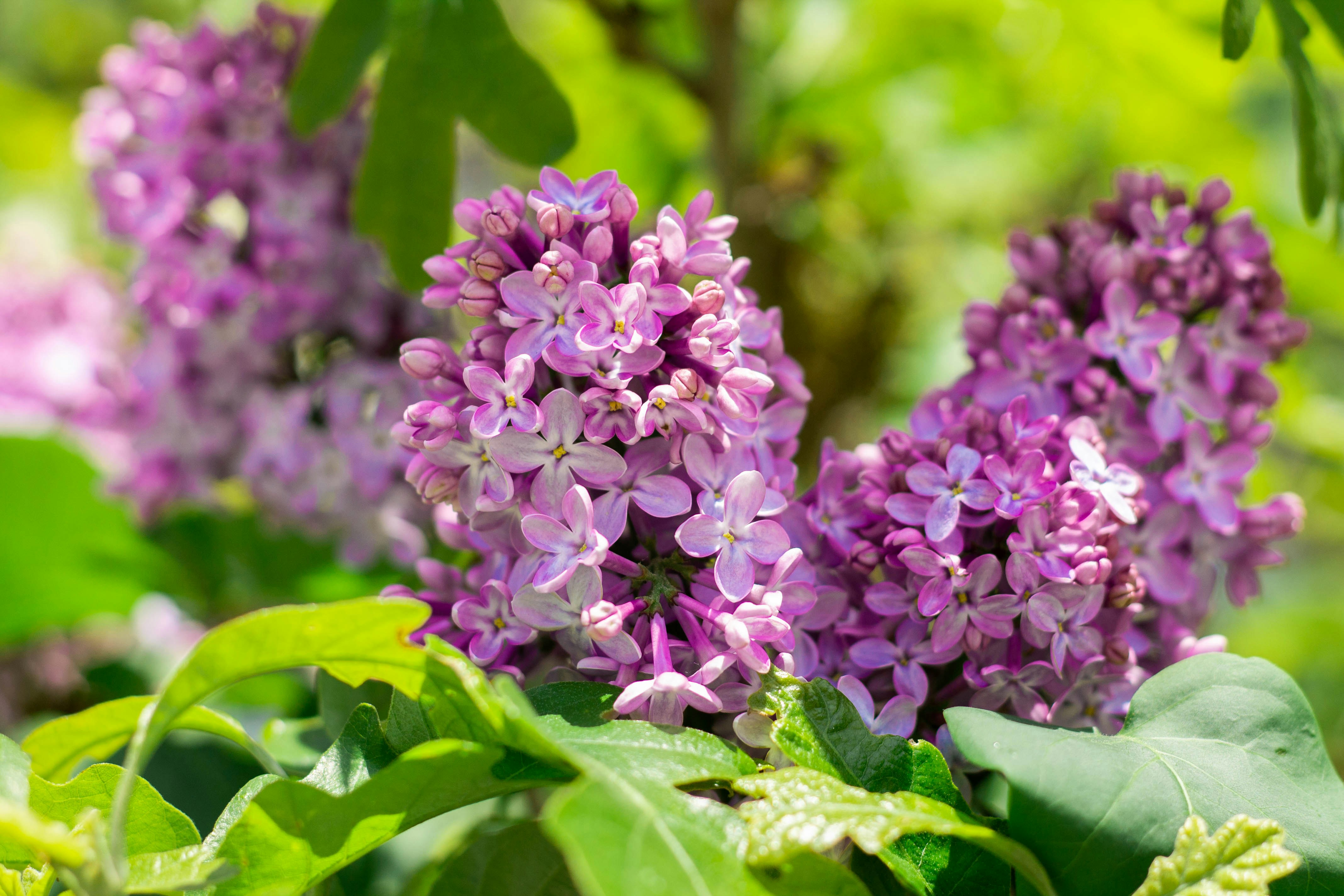 Photo by jonnicaahill