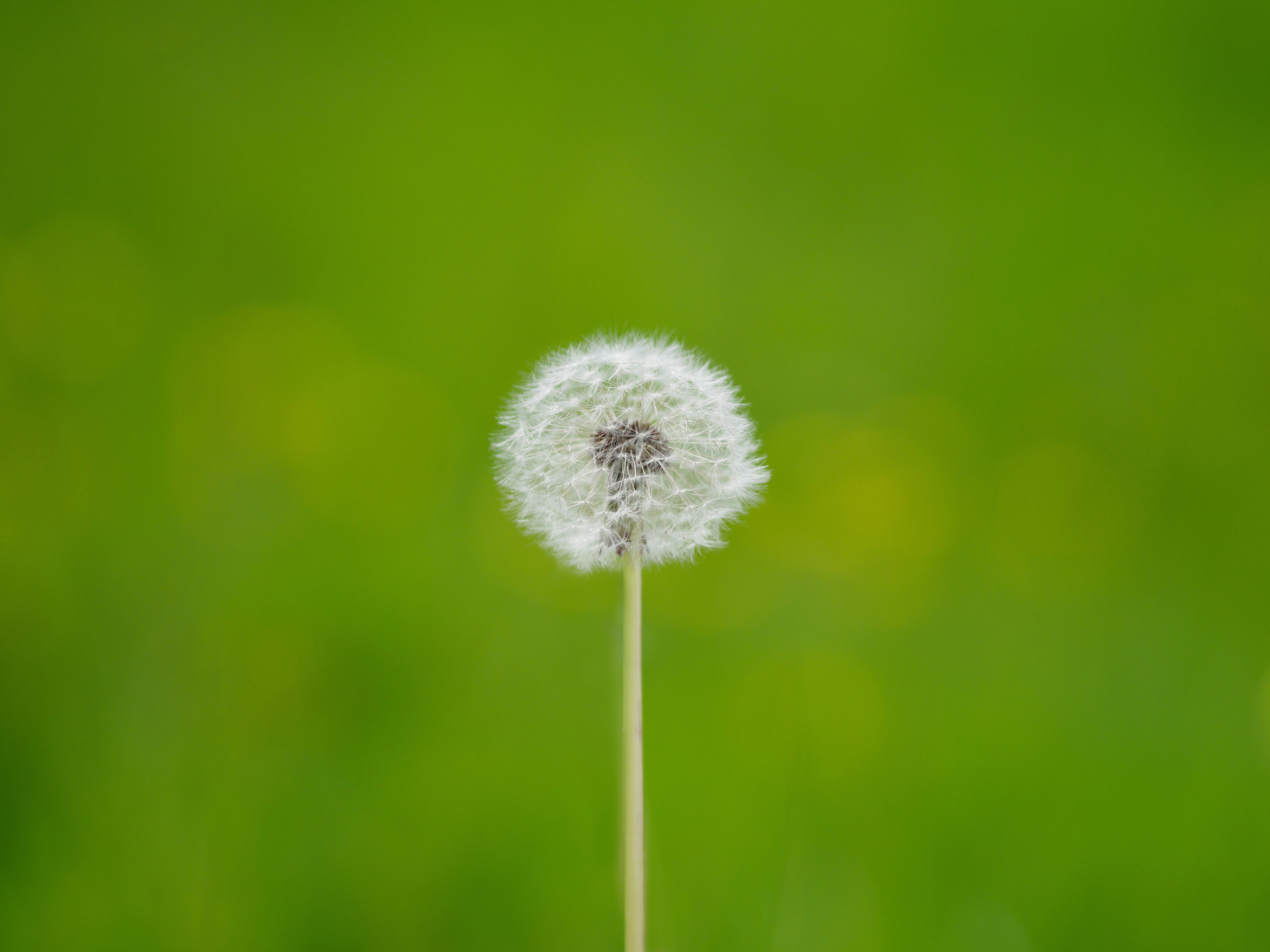 Photo by brett_jordan