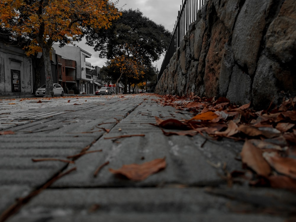a street that has fallen leaves on the ground