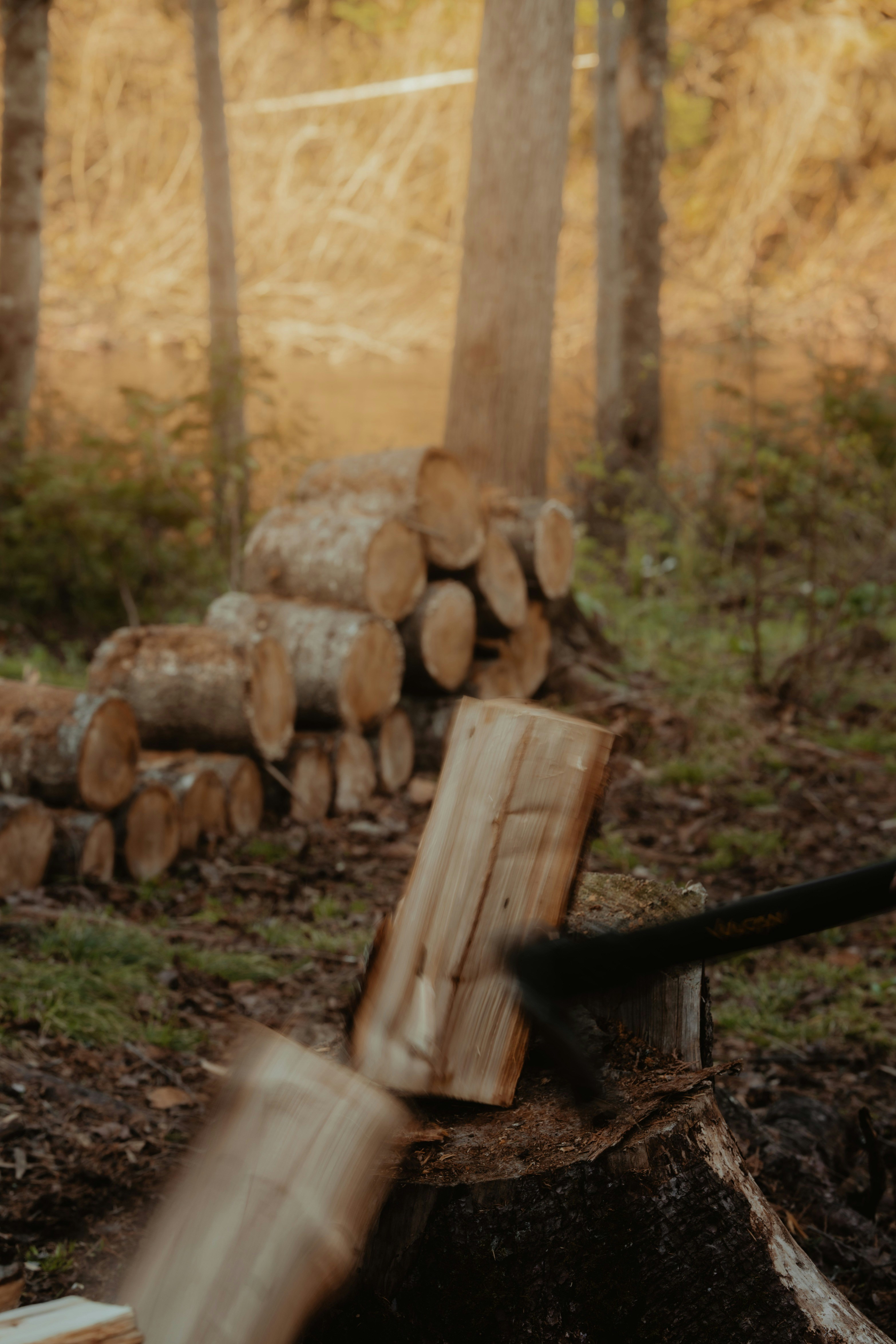 photo-1685122121709-c380521c8ea7?ixid=M3wxMjA3fDB8MXxzZWFyY2h8Nnx8d29vZCUyMHJhbmdlciUyMHBvd2VyJTIwc2hlYXJzfGVufDB8fHx8MTc1NTM1NDA3Nnww\u0026ixlib=rb-4.1.0