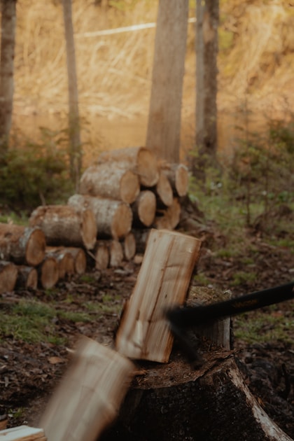 6 Best Folding Saws for Campfire Prep in 2025
