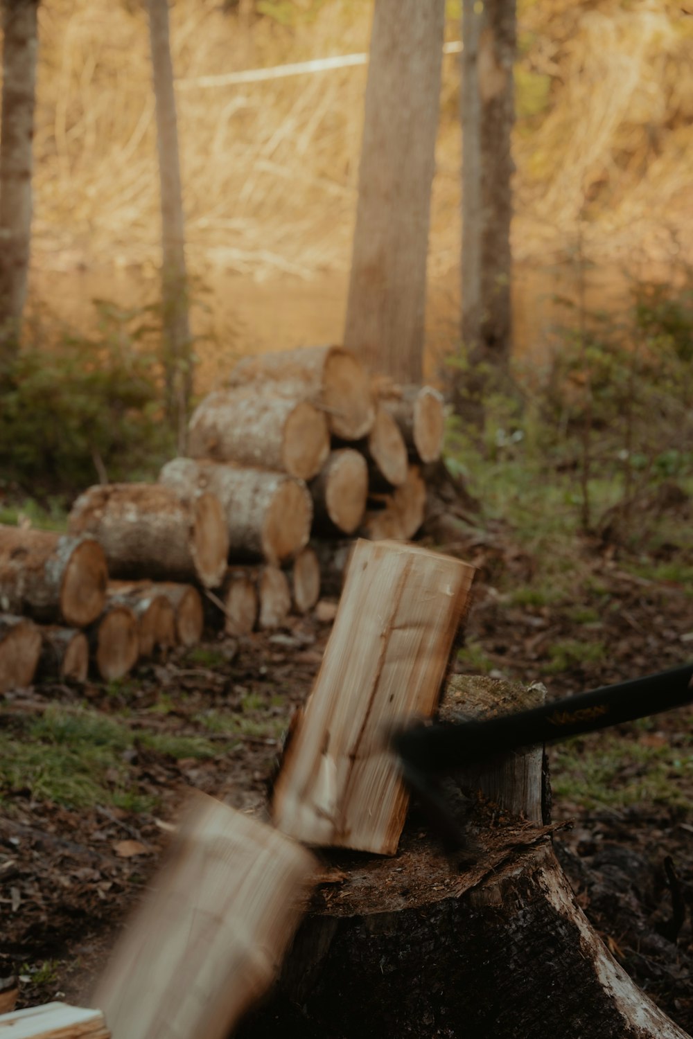 una persona che taglia la legna con una grande ascia