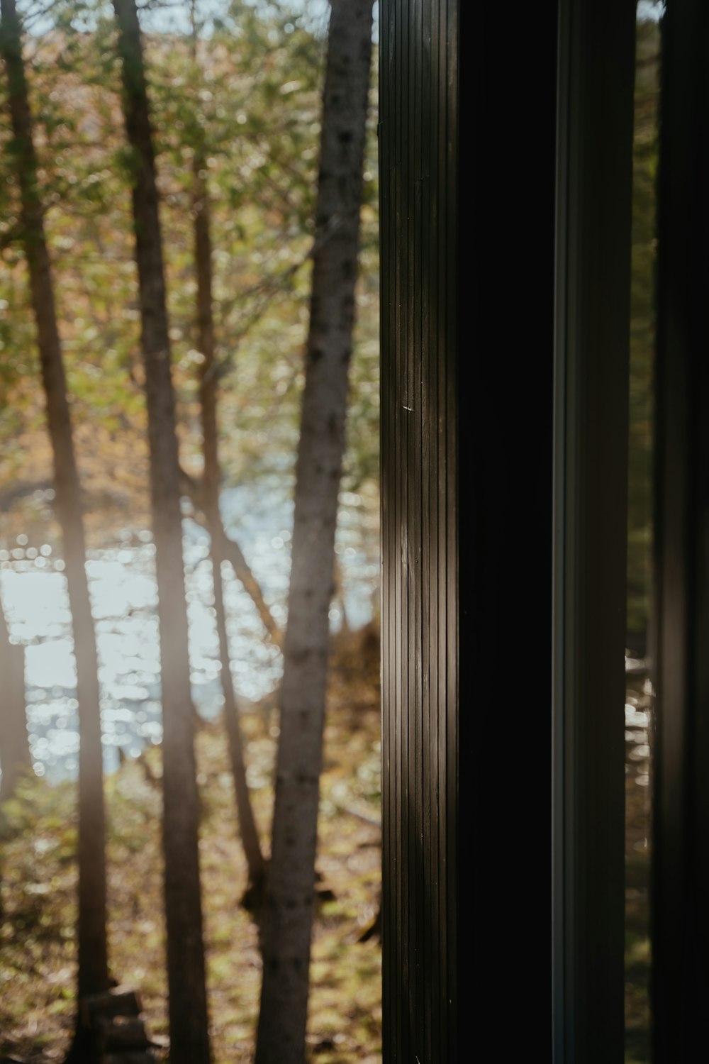 a view of a lake through a window