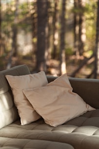 Calm setting with soft cushions and soothing natural elements.