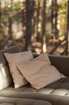 A cozy setting featuring a cushioned sofa with two cream-colored pillows. The background shows a softly blurred view of trees and foliage, suggesting an outdoor or natural environment bathed in warm sunlight filtering through the trees.
