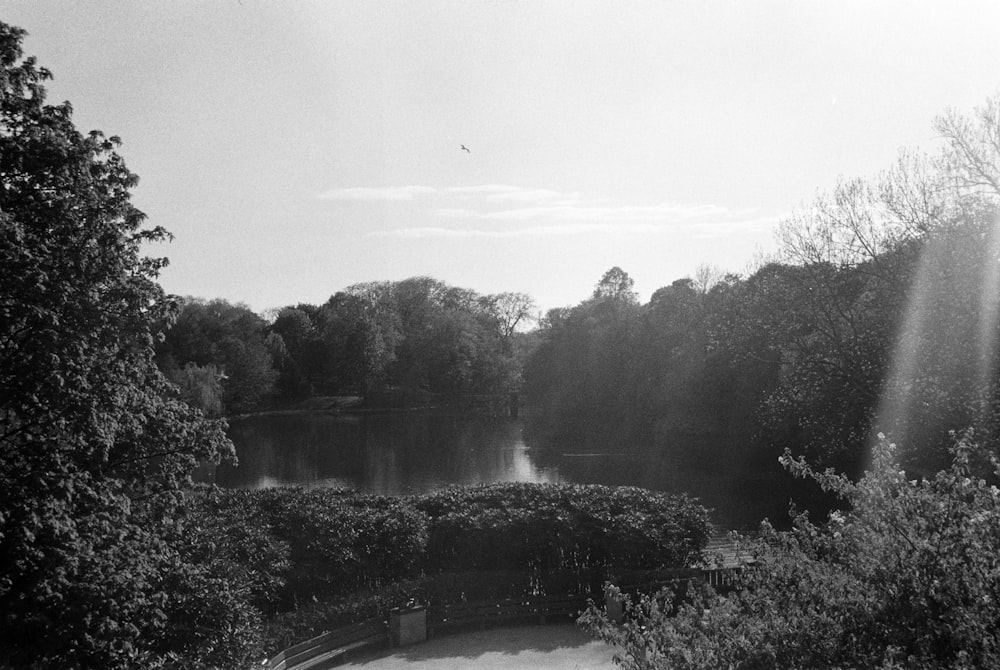 a black and white photo of a lake surrounded by trees