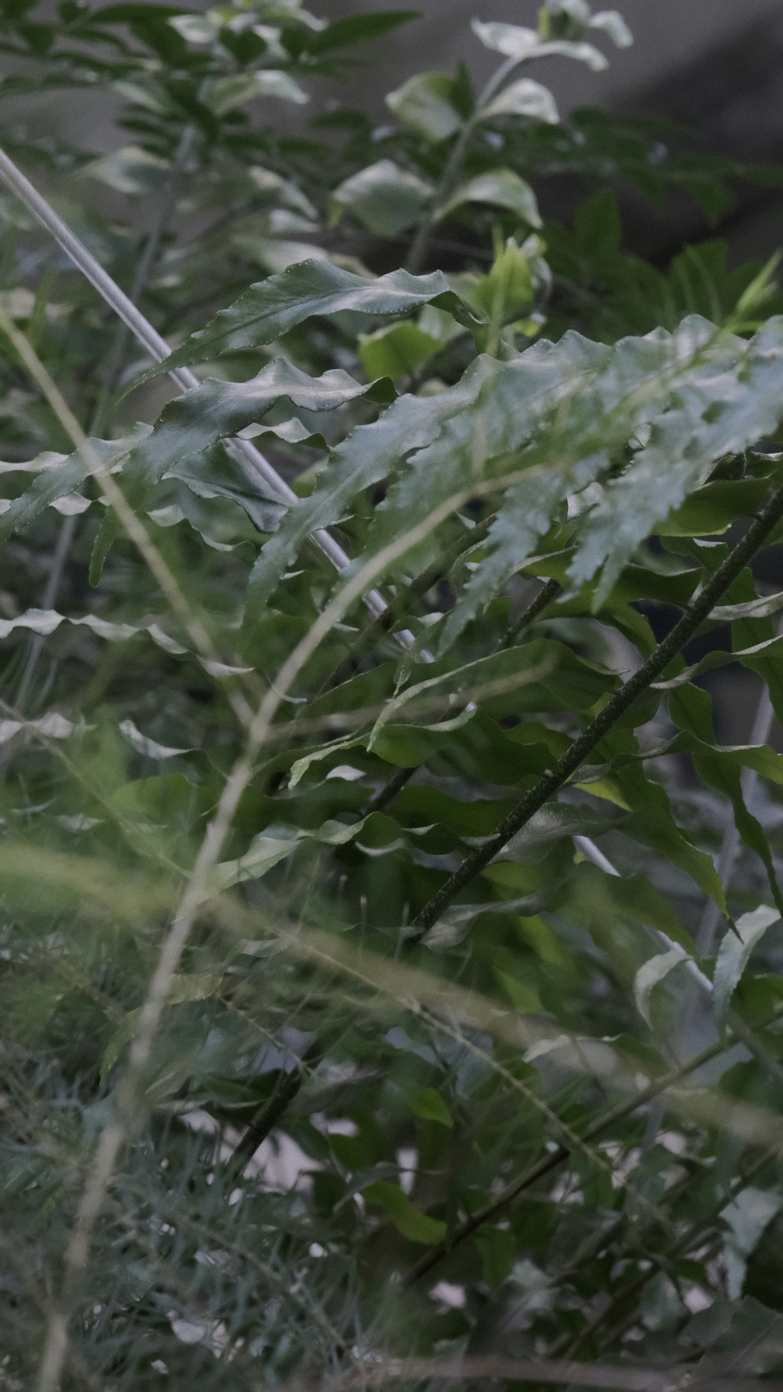 Photo by riley_cheng