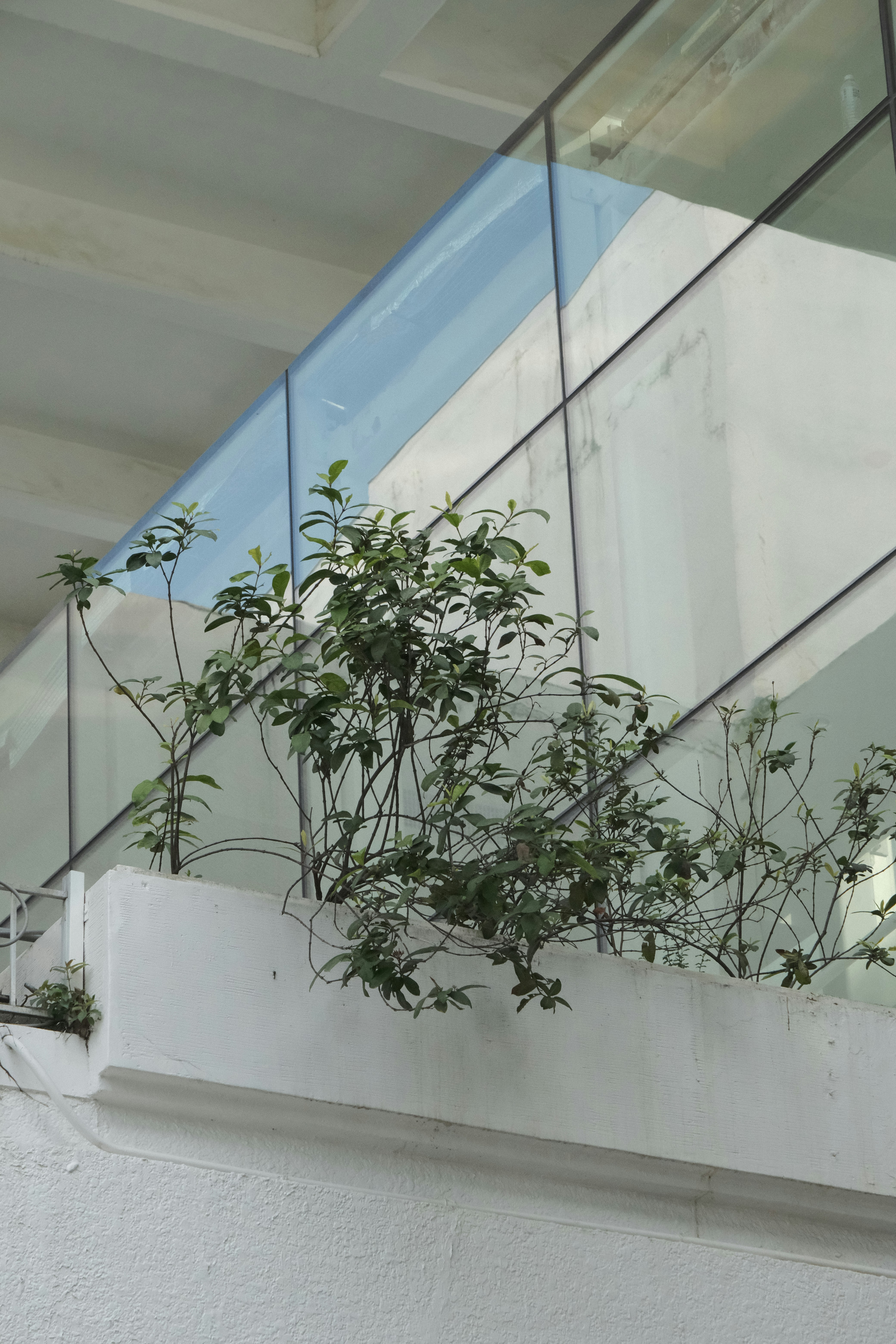 Photo by riley_cheng